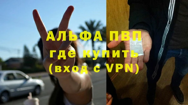 гидра Верхний Тагил