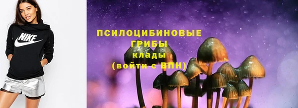 соль курить ск Бородино