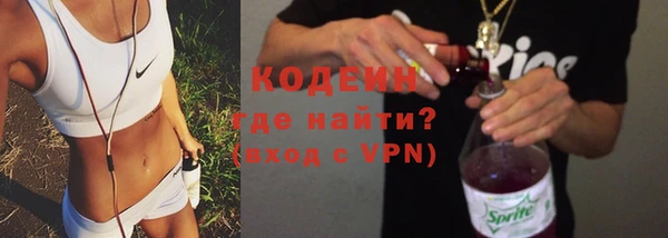 гидра Верхний Тагил