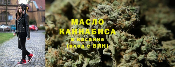 гидра Верхний Тагил