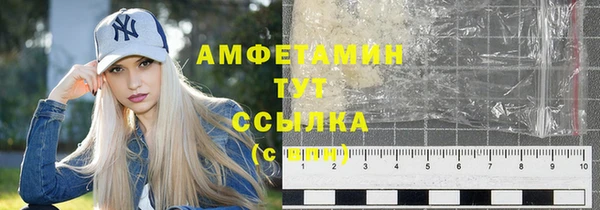 гидра Верхний Тагил