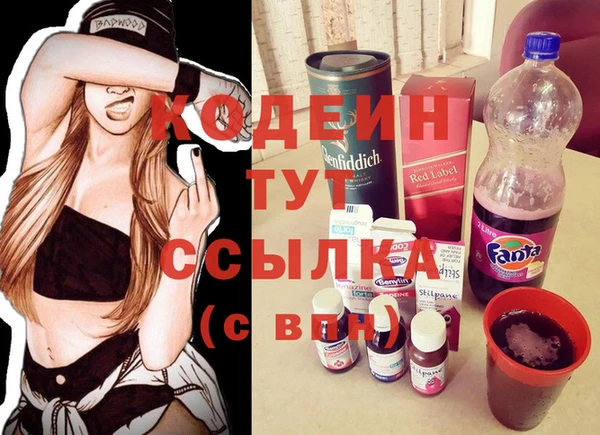 гидра Верхний Тагил