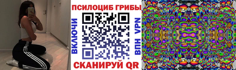 ОМГ ОМГ зеркало Ангарск Псилоцибиновые грибы мицелий