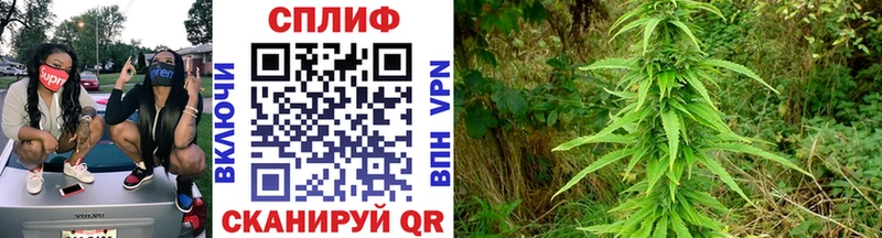 МАРИХУАНА SATIVA & INDICA  маркетплейс телеграм  Ангарск  omg онион 